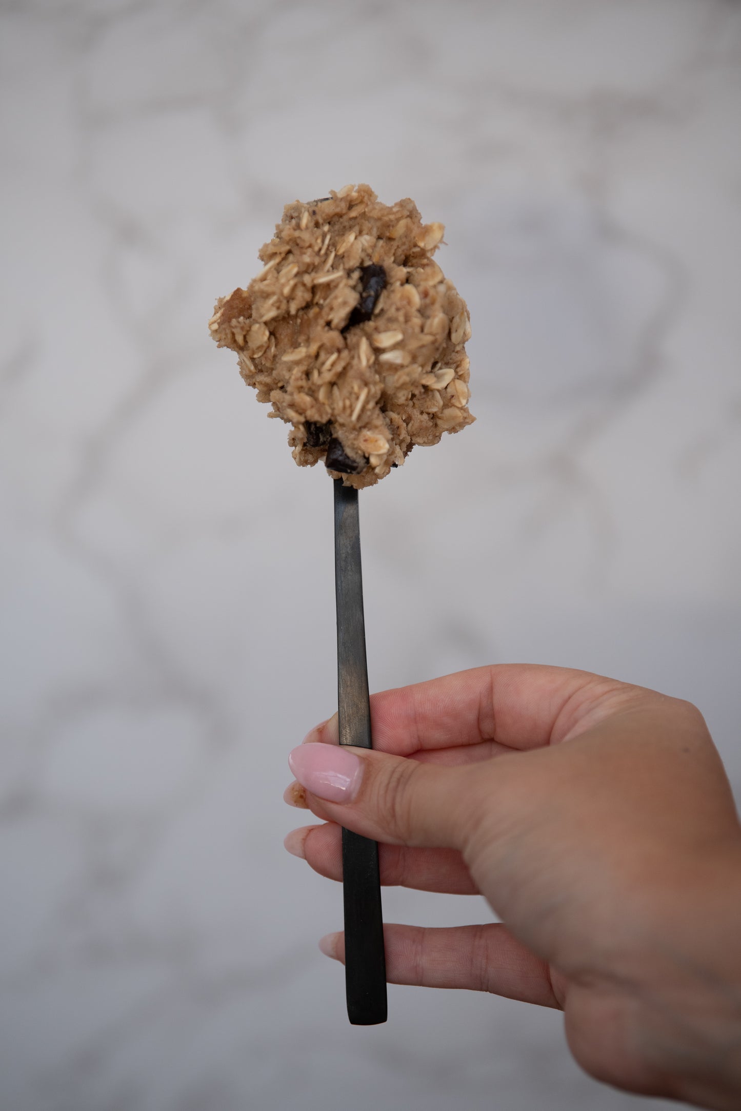 her era house dairy free oatmeal chocolate chip cookies